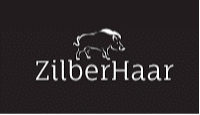 logo Zilberhaar